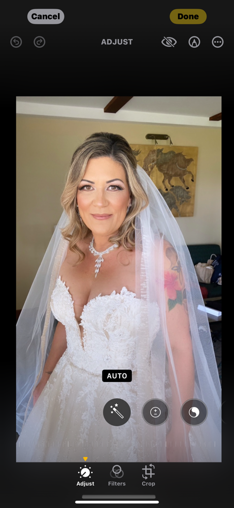 Bridal Hair