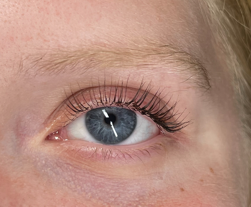 Lash Lift & Tint at LashnEstheticsbyAri in Enfield, CT