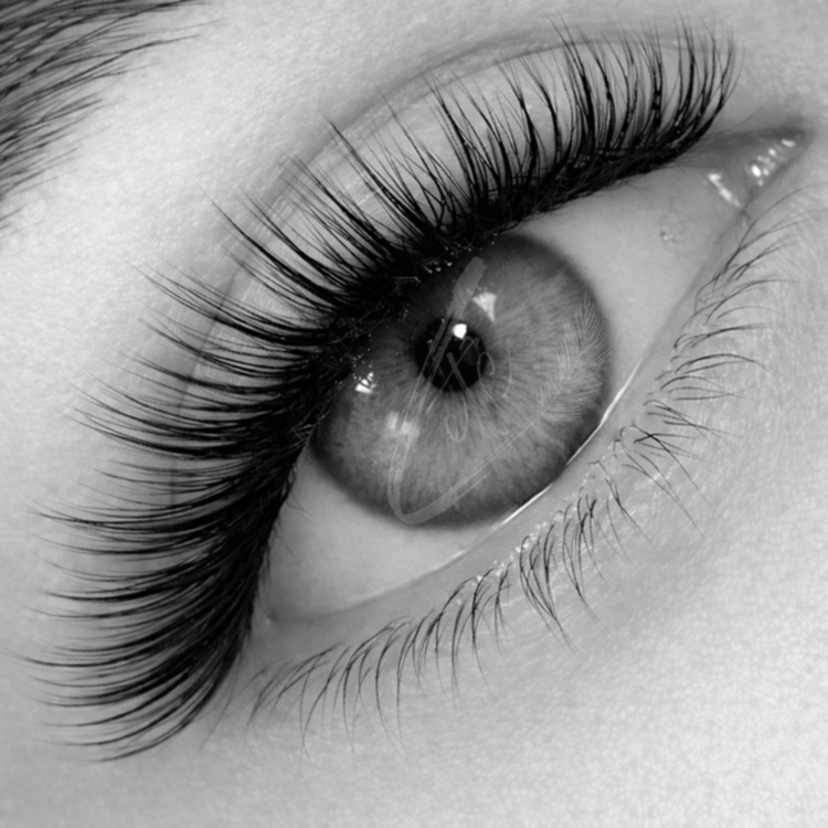 Volume Extensions at lashes, etc. beauty bar in Dallas, TX