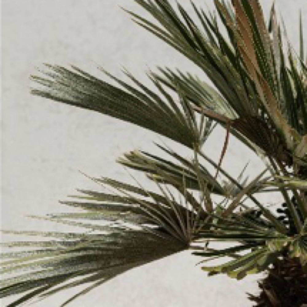 K18 Add On at BREATHE  Beauty Studio in Midland, MI