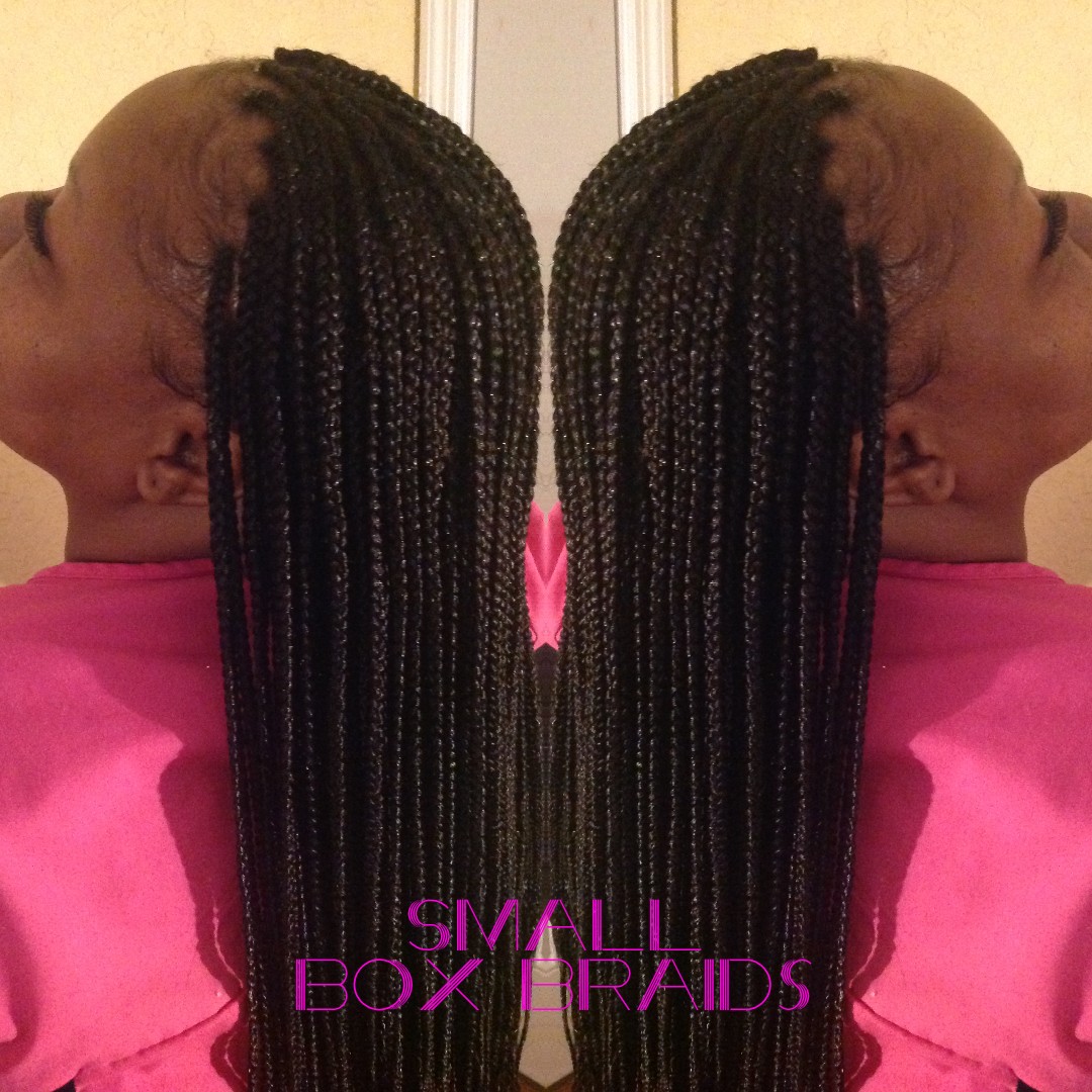 Box Braids - SMALL Midback