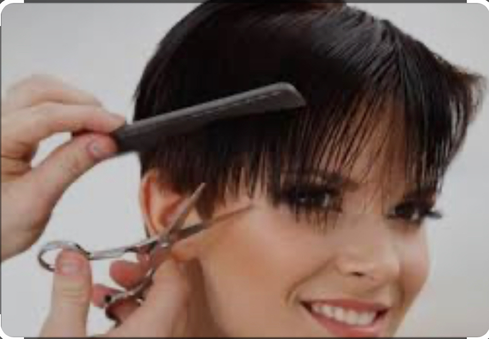 Women’s Haircuts (no Blowdry) at Deelightful Hair Salon in Lagrange, IL