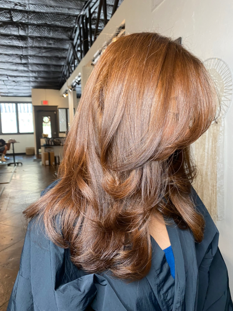 Root Touch Up