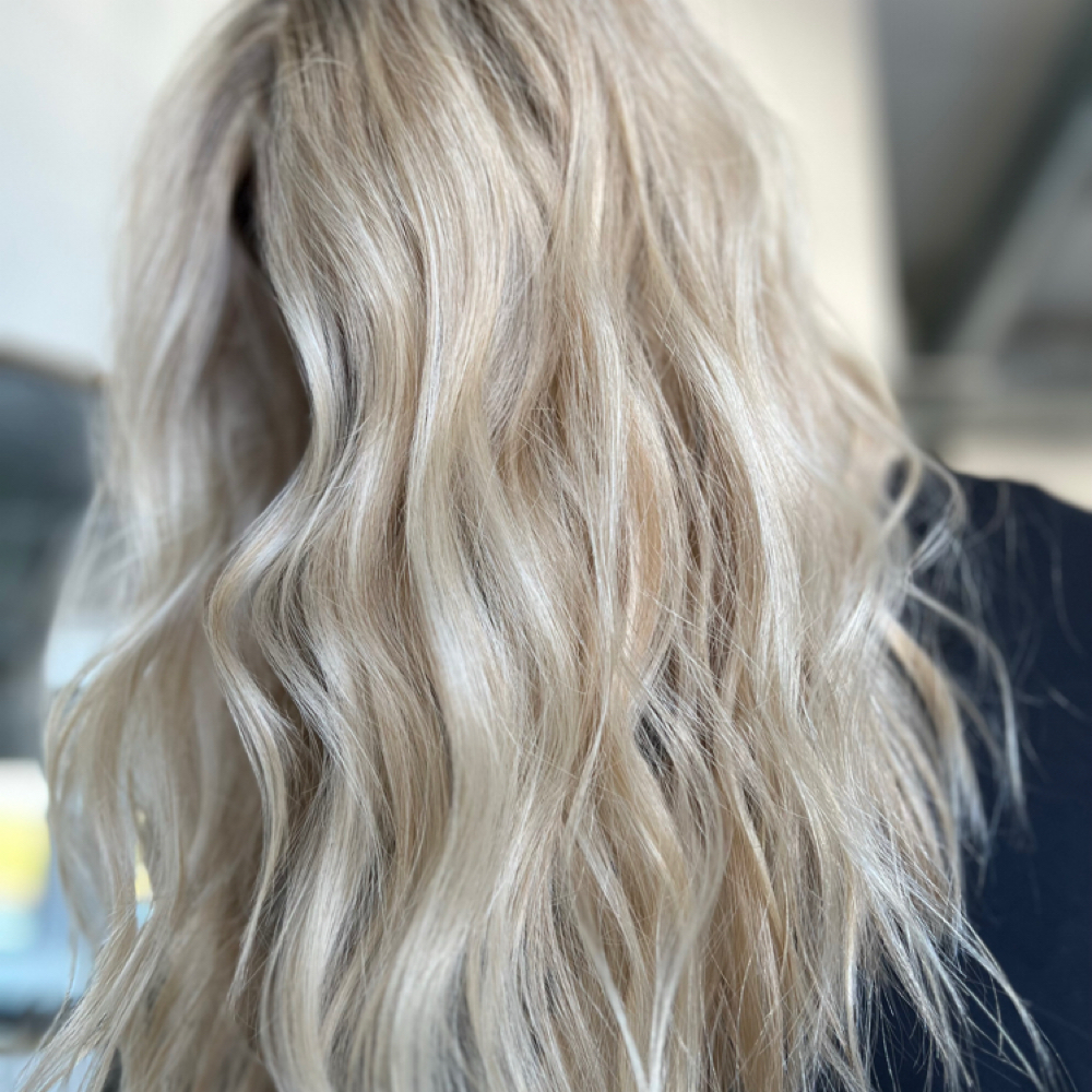 Full Highlight at Courtney Rivera in Nashville, TN