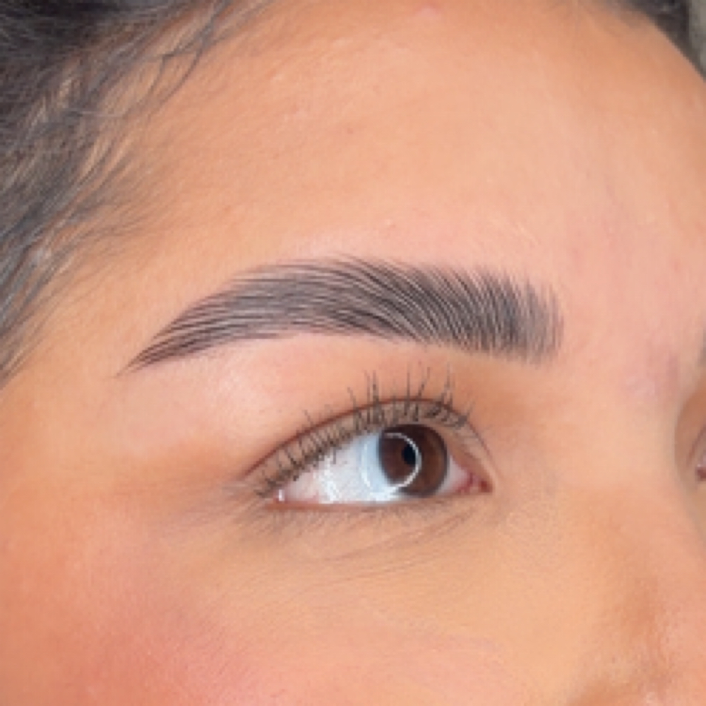 Brow Bundle-lamination,tint,wax at Lashed Babe in Albertville, AL
