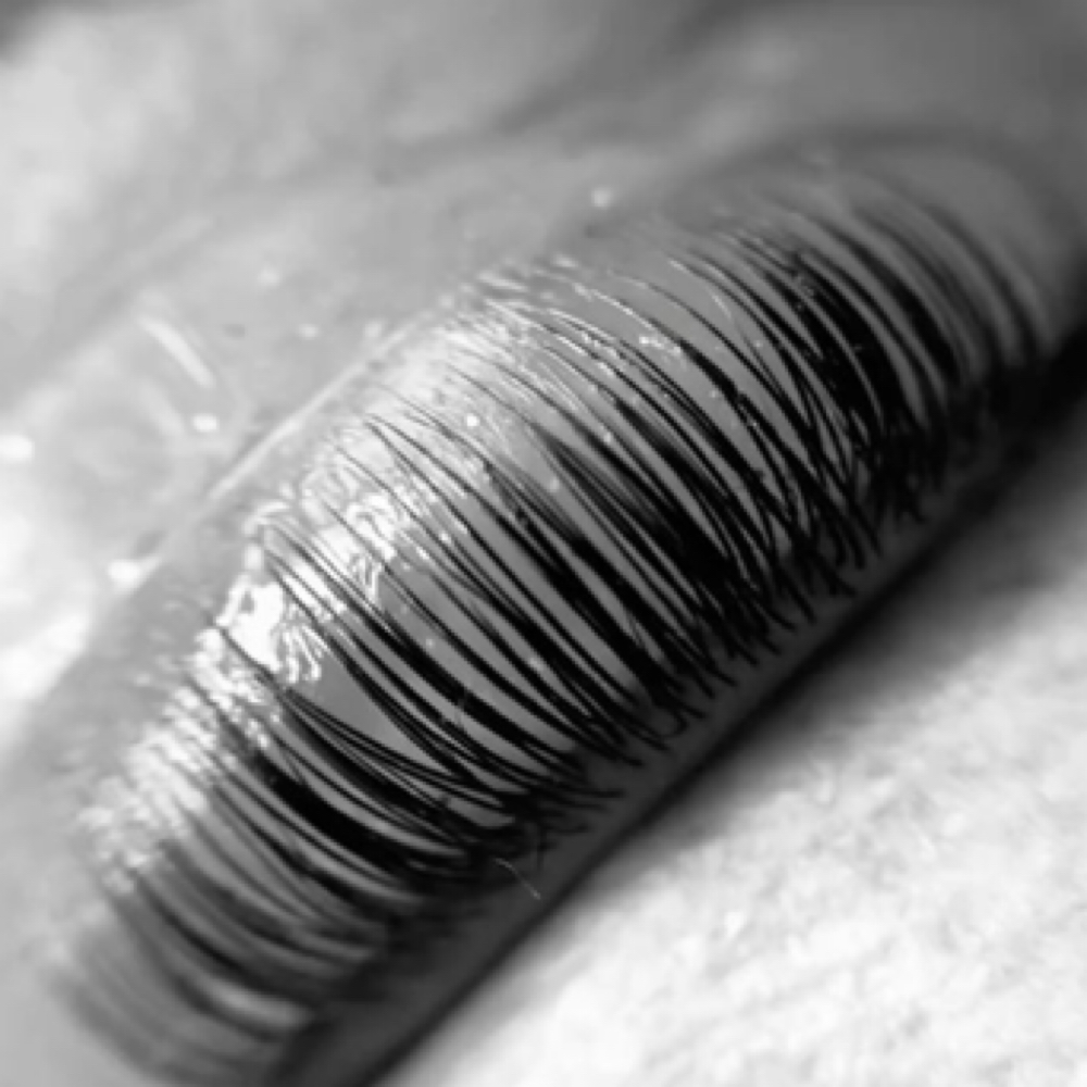Lash Lift at DreamXLab_ in Kingsport, TN