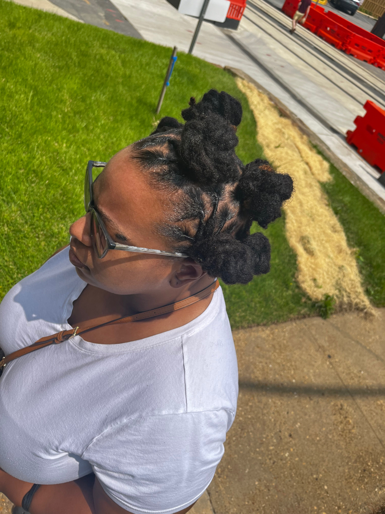 Loc Bantu Knots at Royal Roots Natural Hair Salon Studio in Bowie, MD