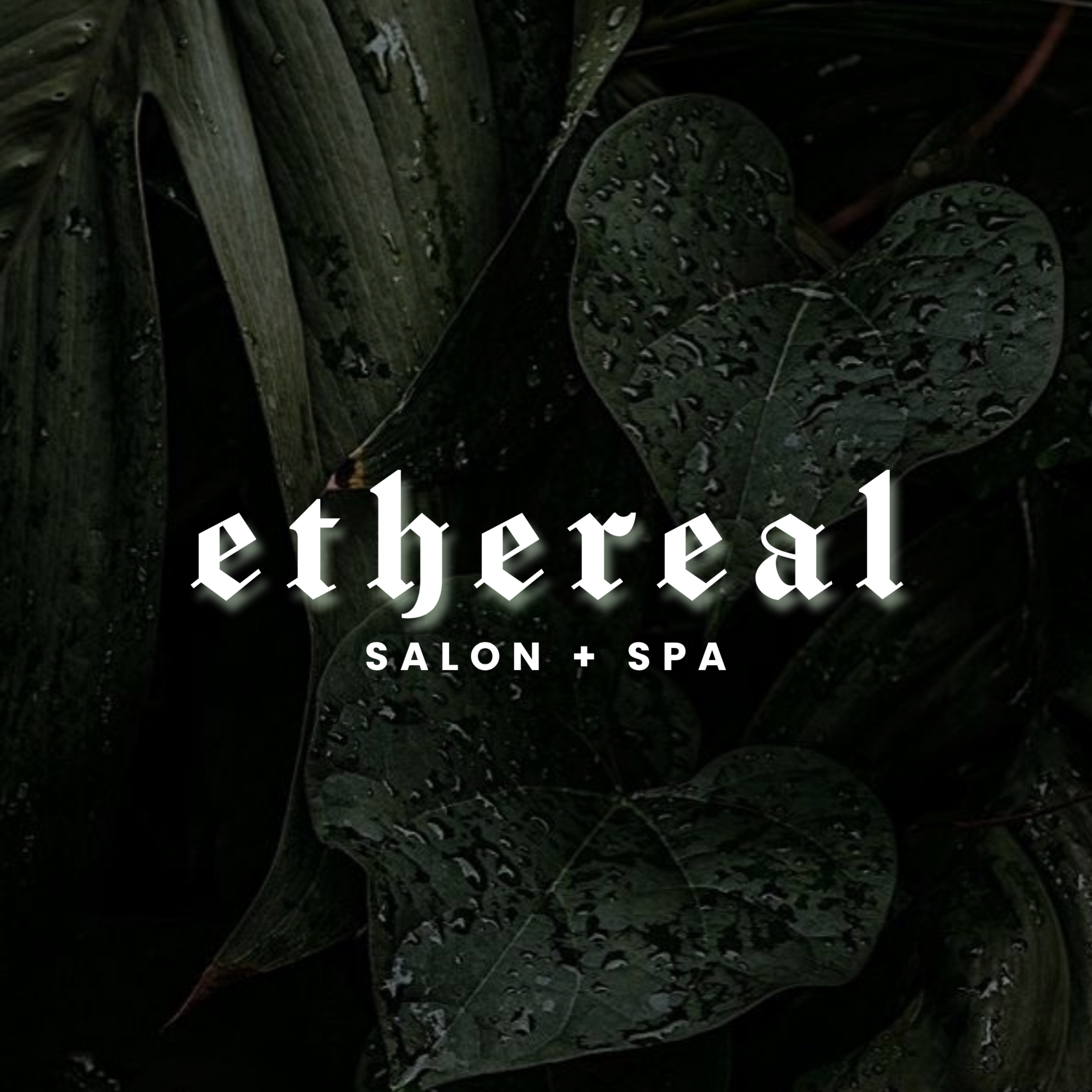 Consultation for Dreadlocks at Ethereal Salon + Spa in Pottsville, PA