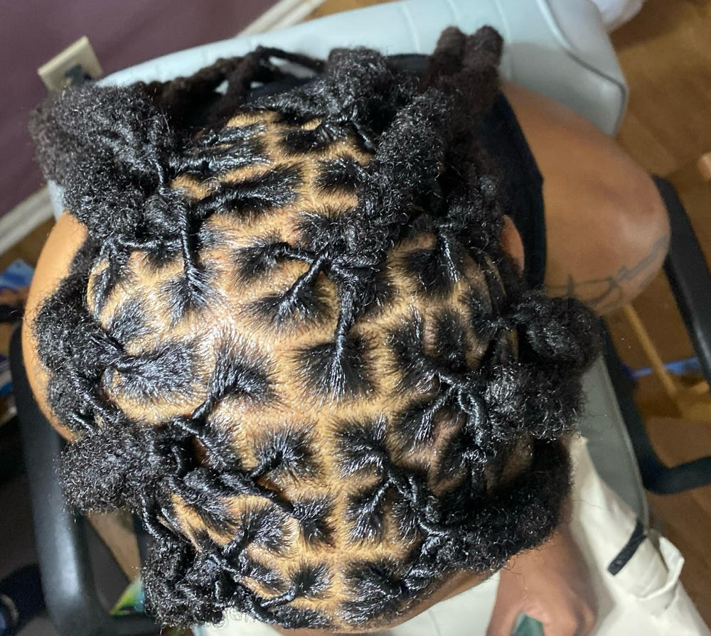 Retwist & Style
