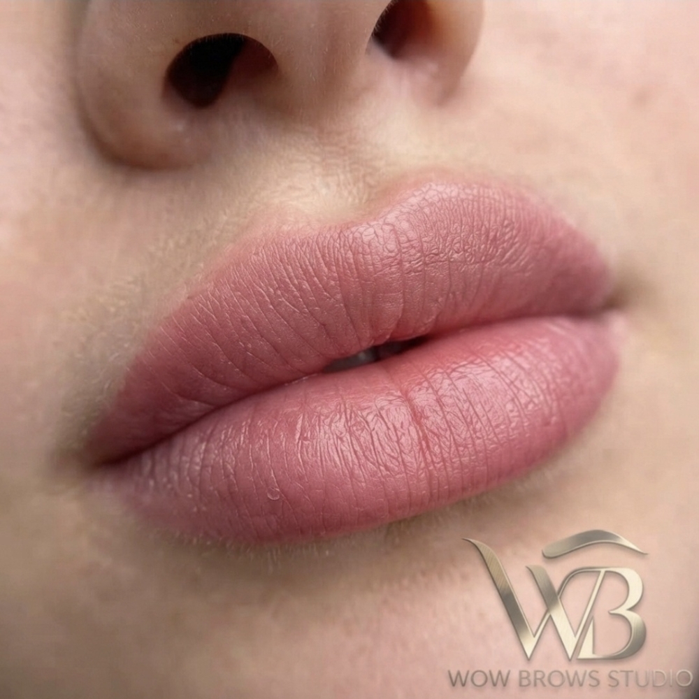 Lip Blush $350 Natural Lips at Wow Brows Studio in Bakersfield, CA
