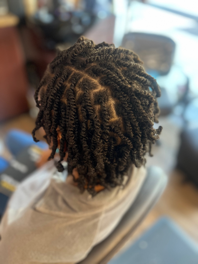 2 Strand Twist