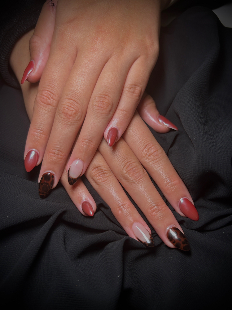 Builder gel (with tips )