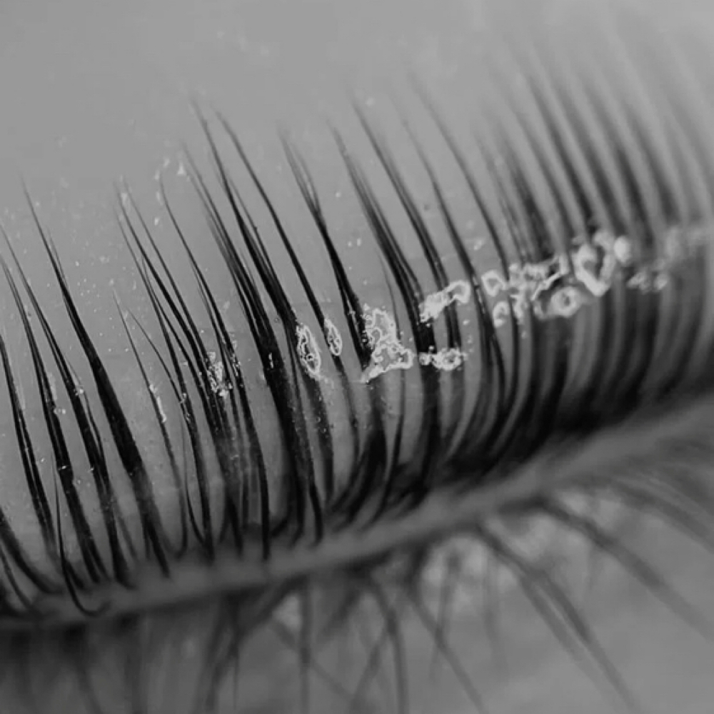 lash lift + tint model at Glow by Allison in Grapevine, TX