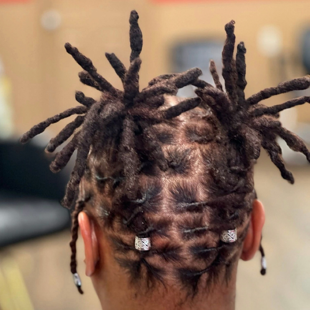 Adult Retwist & Style at The Loc Shop LLC in Mishawaka, IN