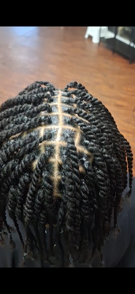 2 Strand Twist Or Plaits Small