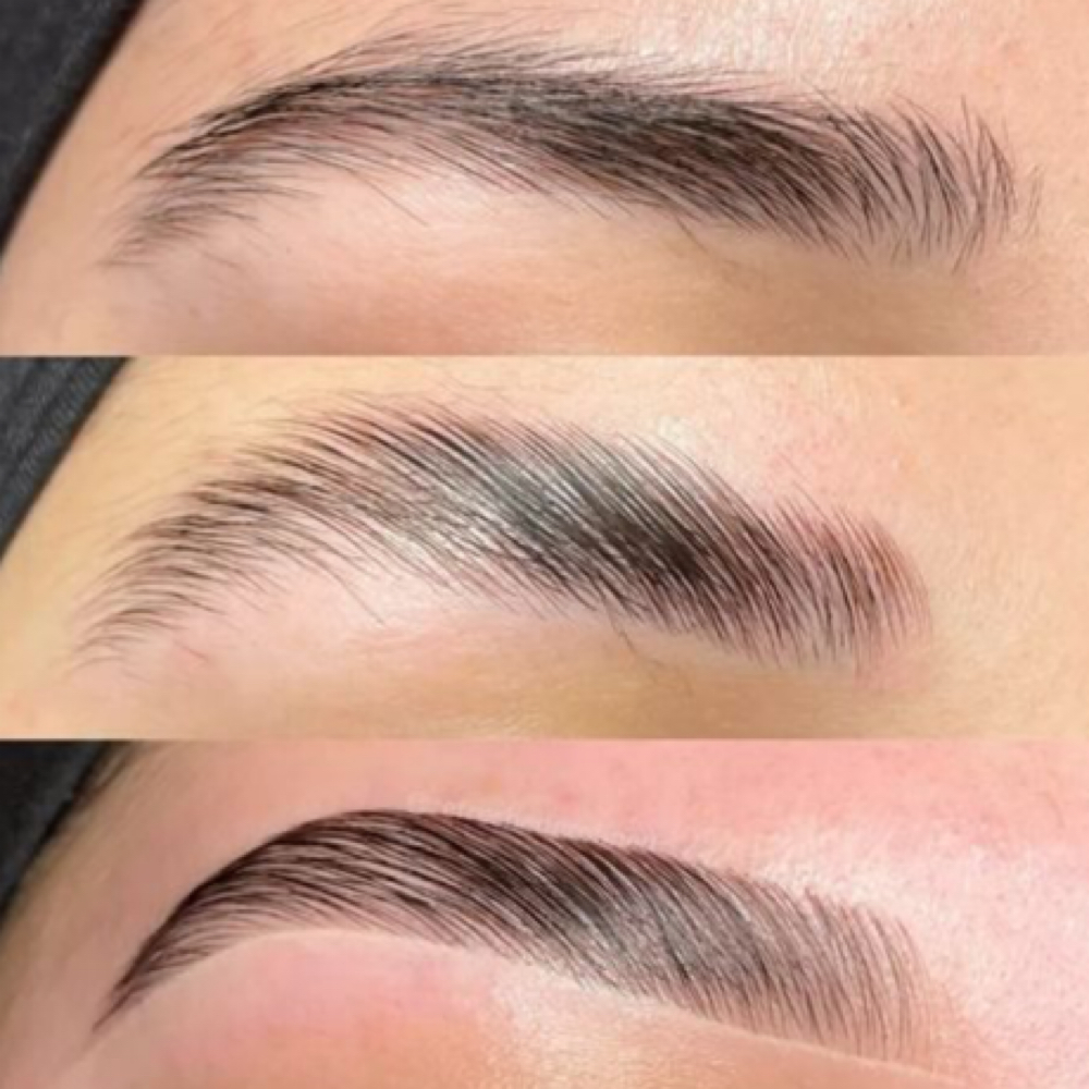 Brow Trio at AC SKIN STUDIO in Knoxville, TN
