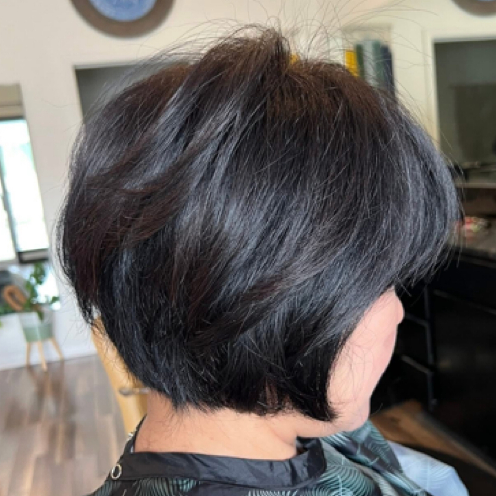 Short Haircut + Shampoo and Style at New Moon Studio in Southaven, MS