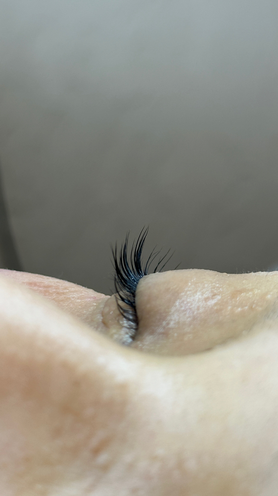 lash lift