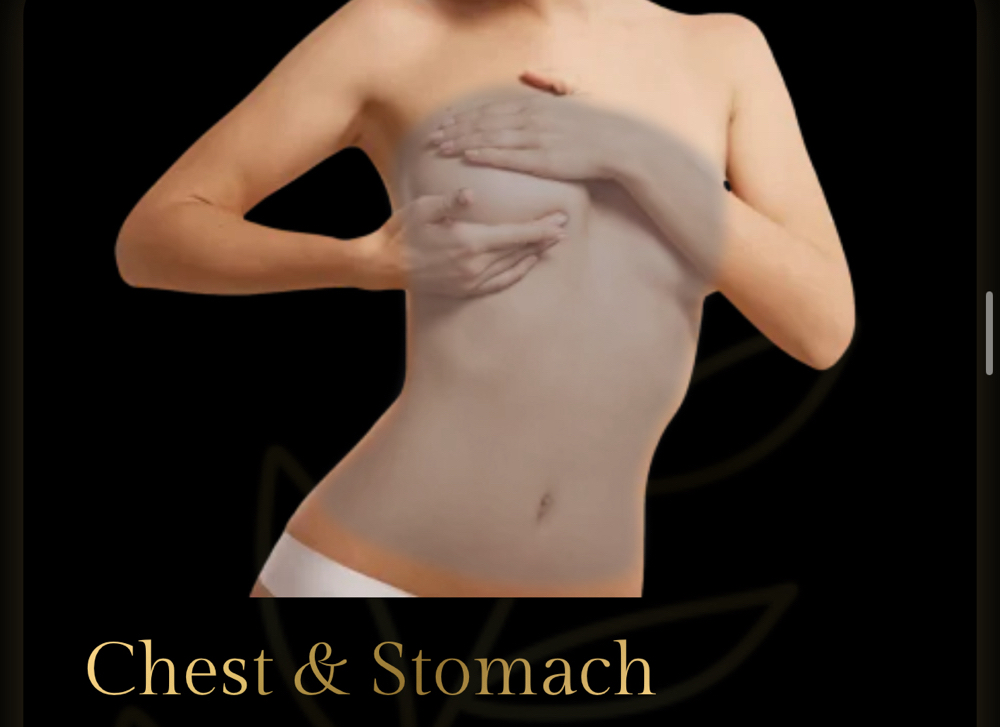 Chest & Stomach