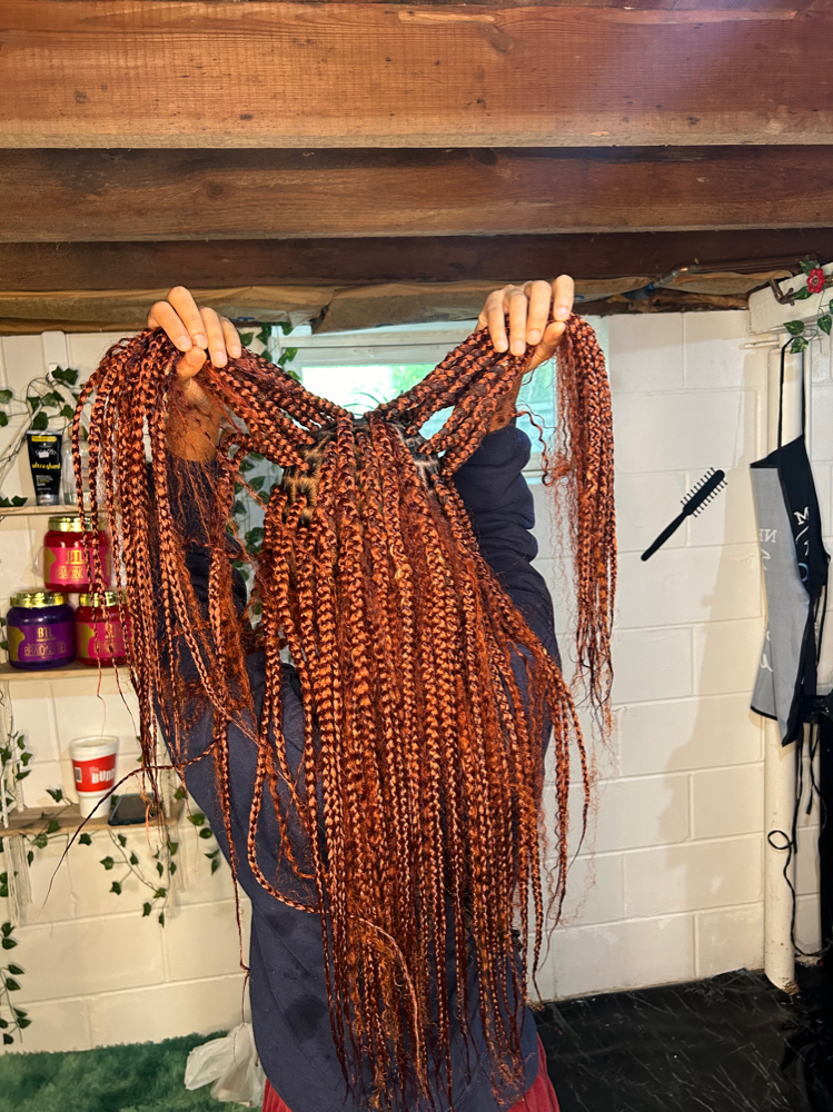 Box Braids Over Dreds $150