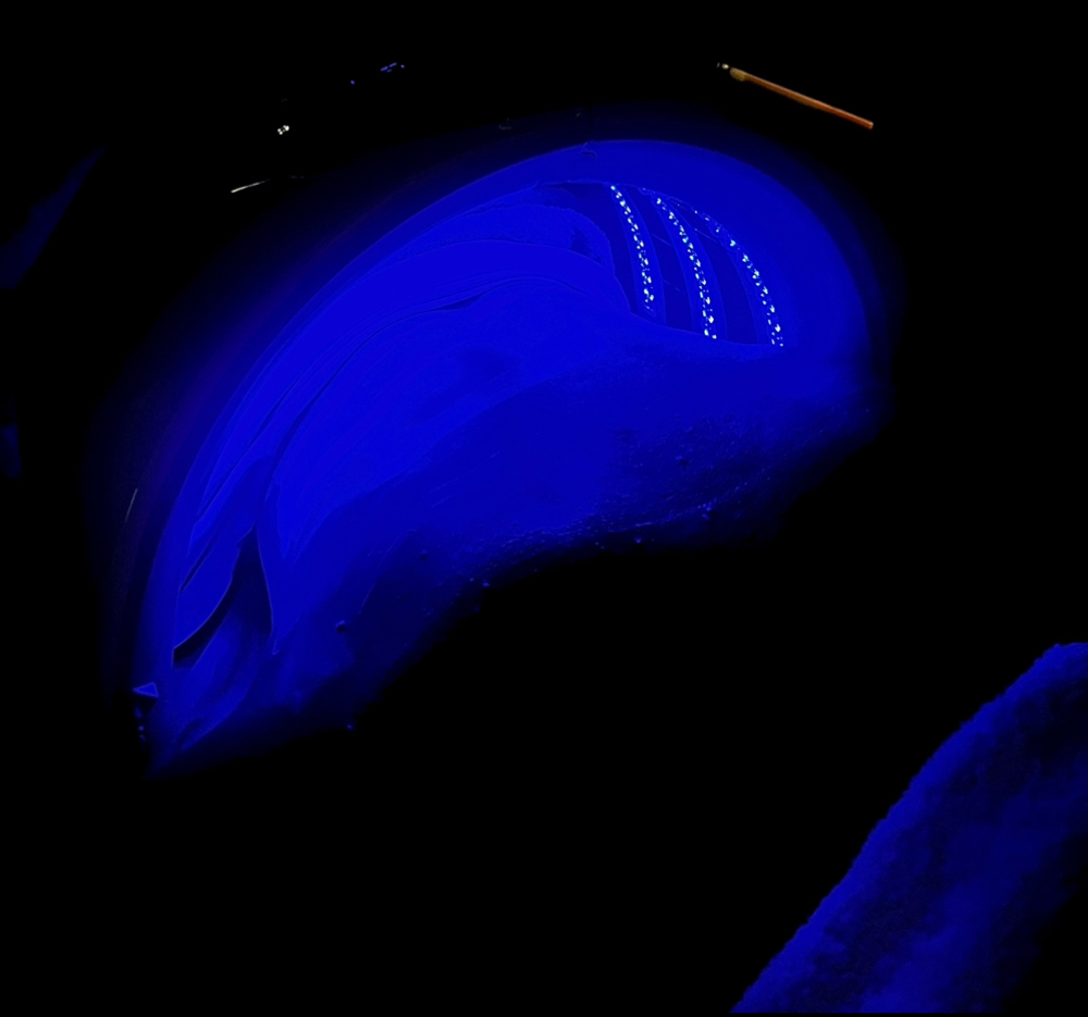 Targeted LED Light Therapy (20 min)