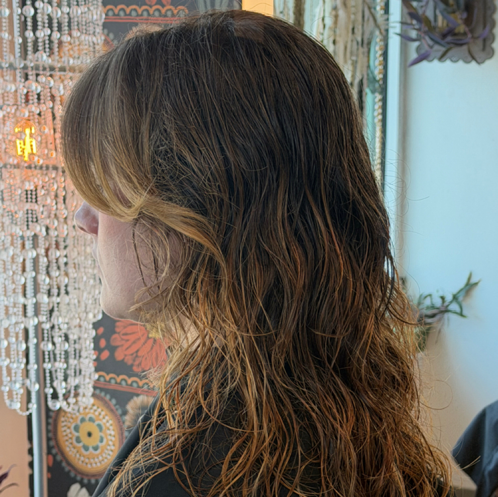 Haircut at Wild and Rooted in Davenport, IA