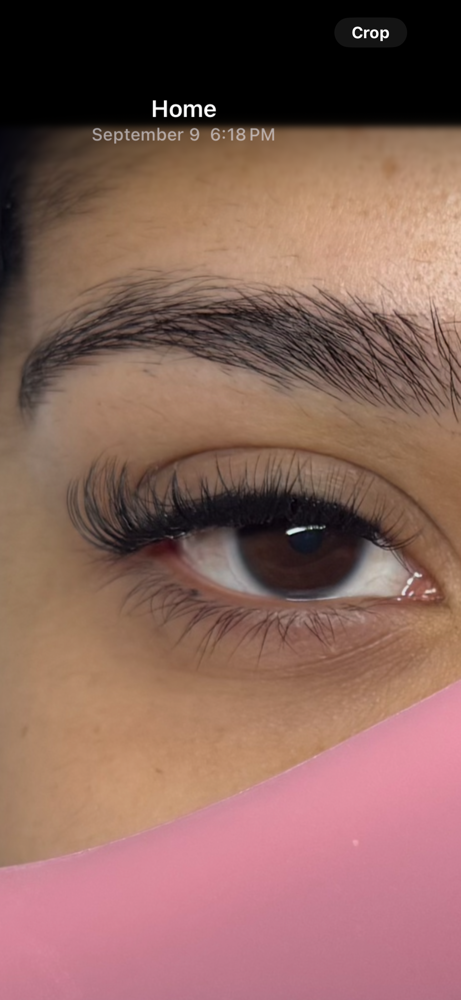 CLASSIC LASH CLUSTER SET π