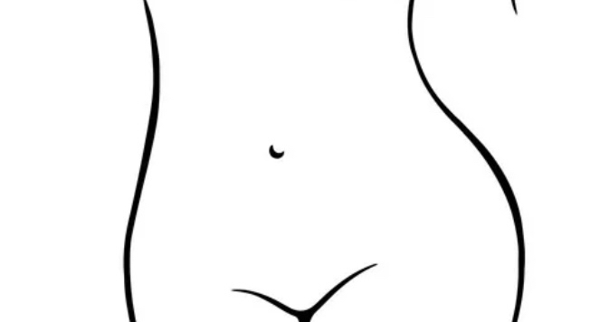 Stomach