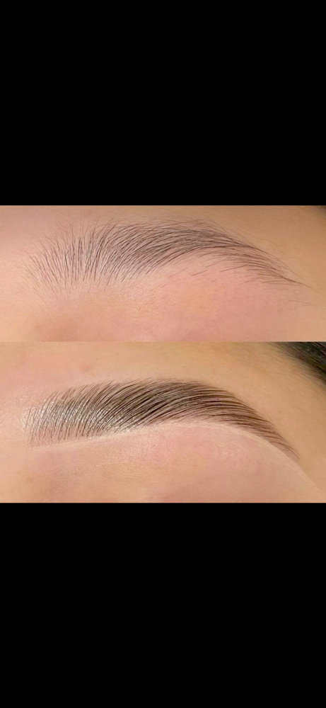 Brow Lamination & Tint at Bridge2Beauty in Wantagh, NY