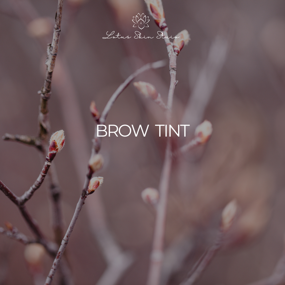 Brow Tint at Lotus Skin Studio in Sumterville, FL