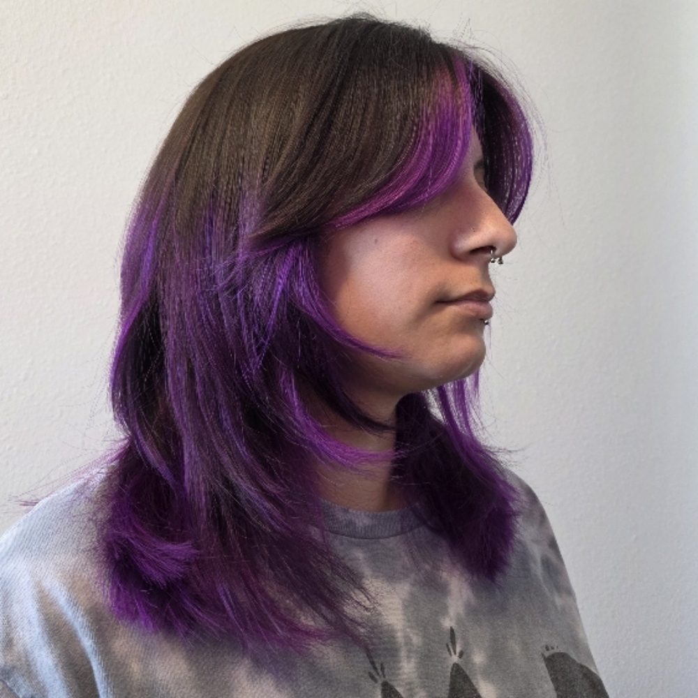 Haircut W/Style at Lavender Lane Salon in North Richland Hills, TX
