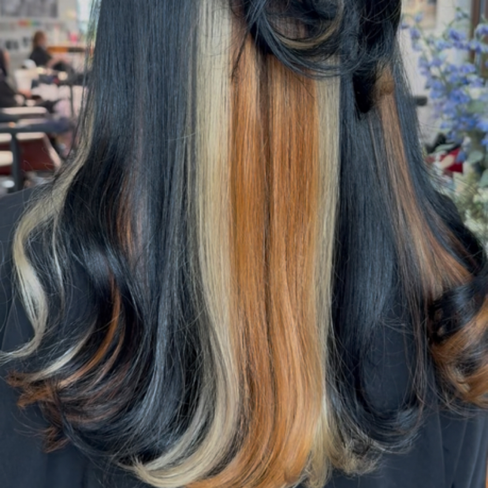 Color Blocking at HAIRBYBUDD in Houston, TX
