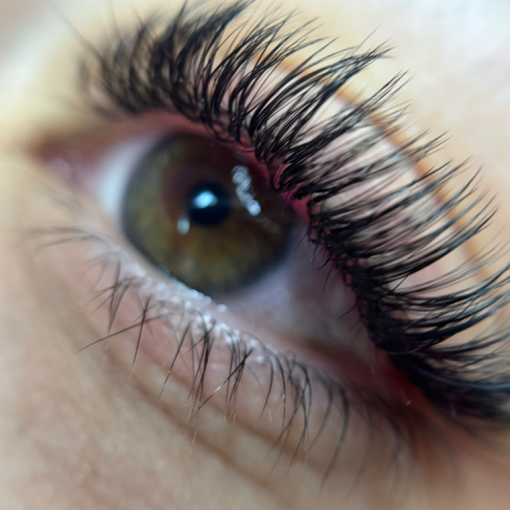 Signature Lash Refill- 3/4Weeks at Lash A Queen Beauty Bar in Brooksville, FL