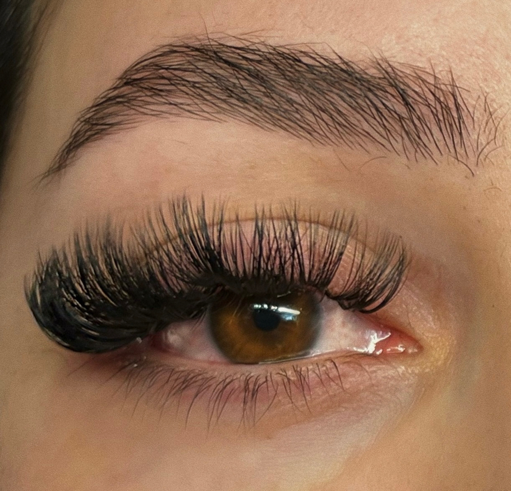VOLUME LASHES