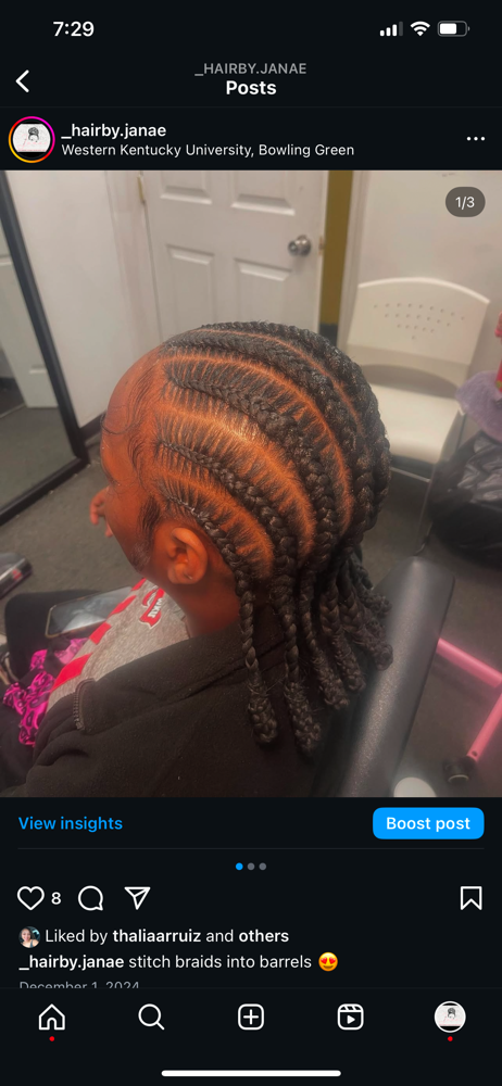 Stitch Braids (4-8)