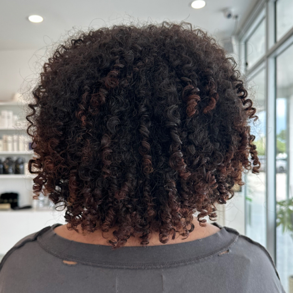 Curly Cut at Classic chic in Sarasota, FL