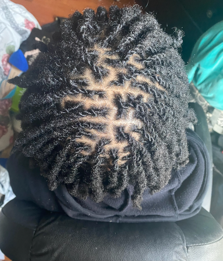 Two Strand Twist - Micro Locs at Loc’d in with Ariel in Olive Branch, MS