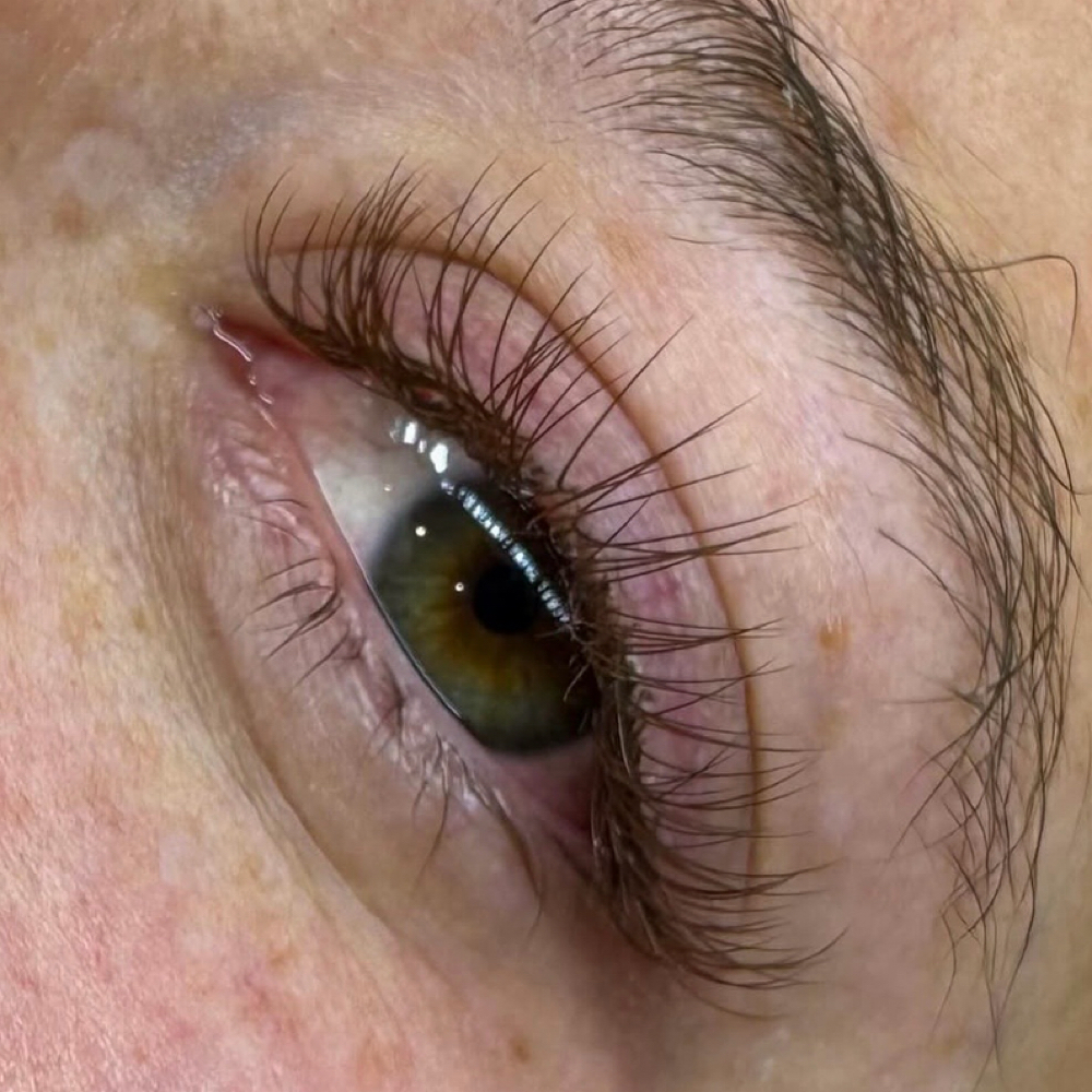 1 Week Natural Fill at Lashed Society in South Jordan, UT