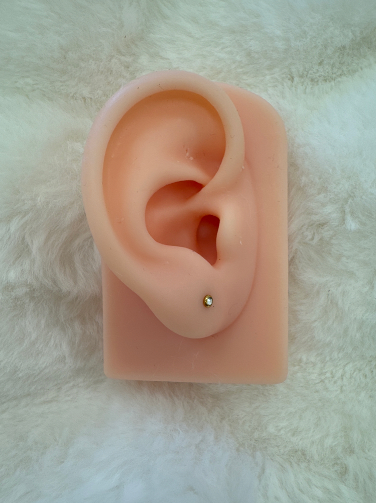 Lobe(Single Piercing)