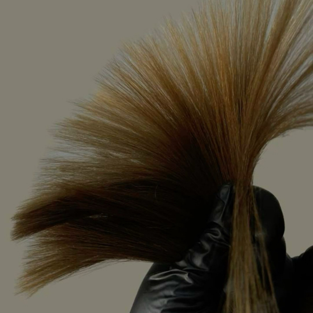 split end treatment at Leslie Ana hair in Fairview Park, OH