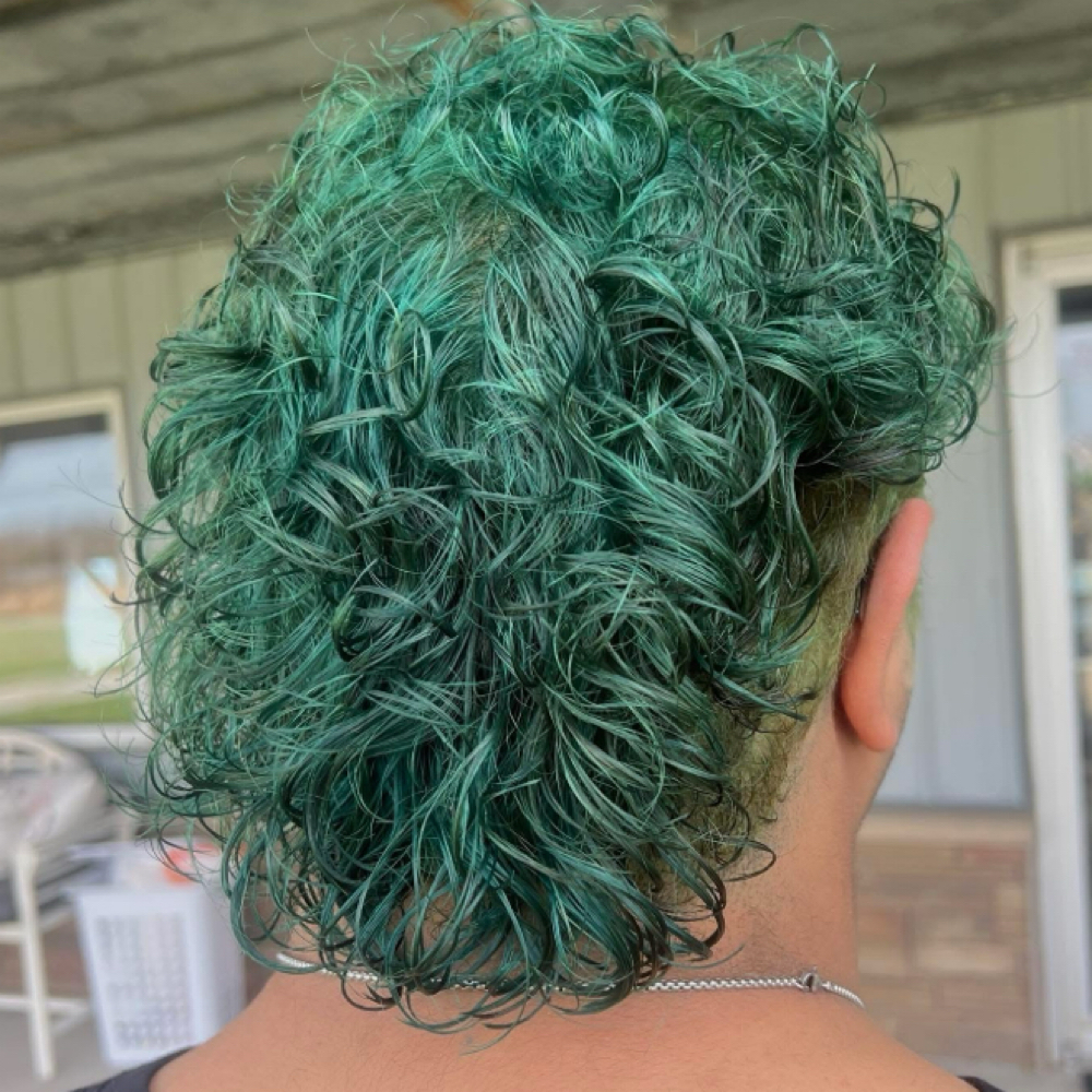 Vivid Color(s) at The Rooted Mane in hustonville, KY