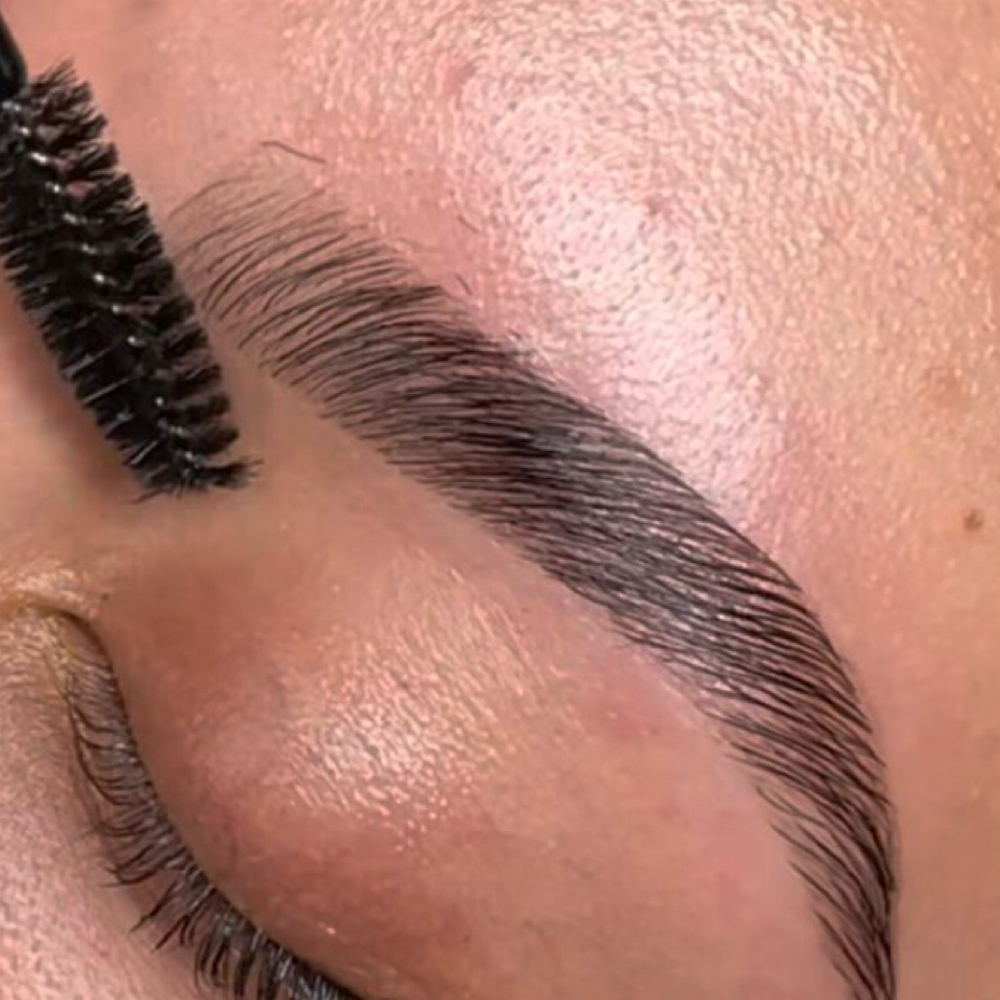 Brow Tint at loren mcmurray in Kingsport, TN