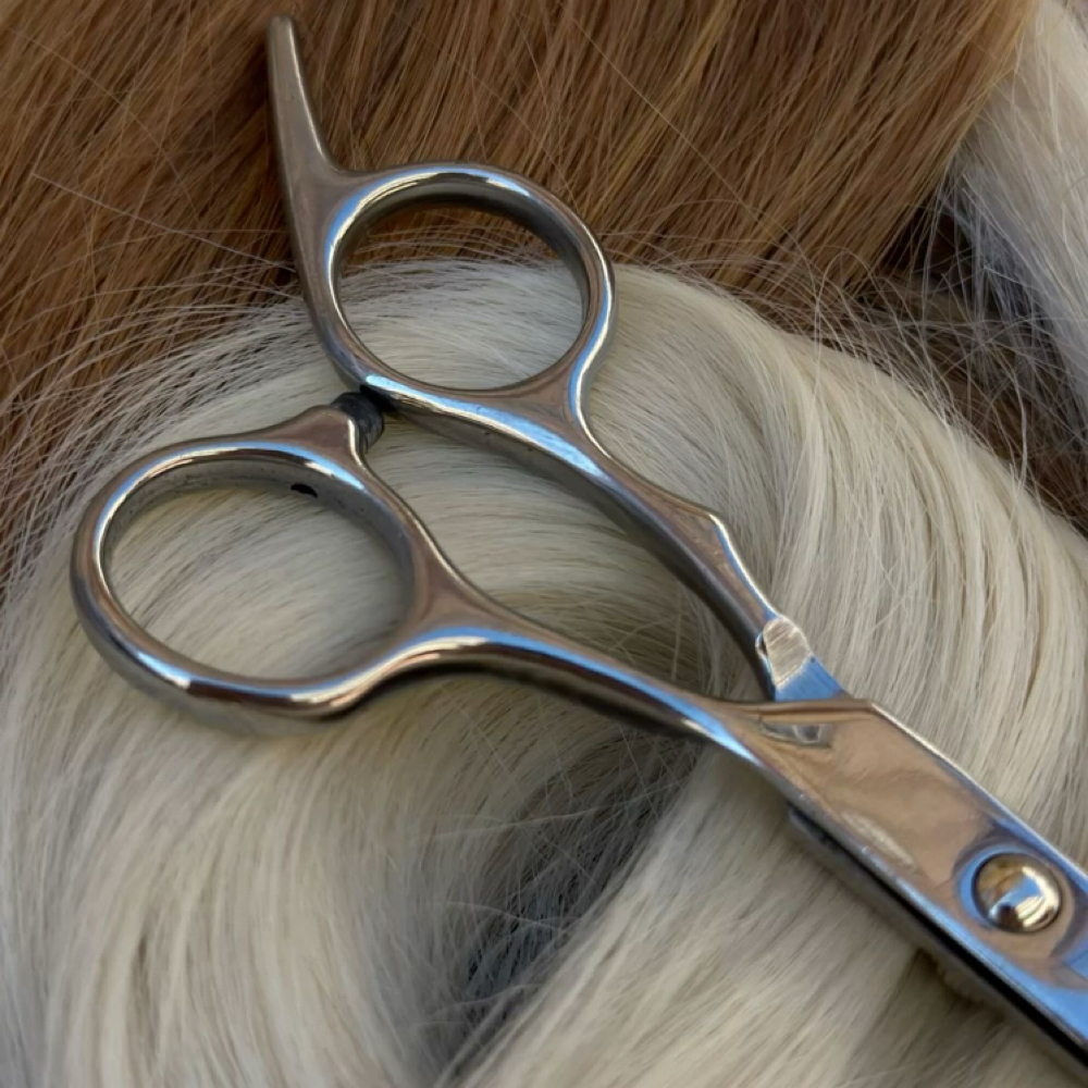 ADD ON Haircut at SlayedByAbs in Waverly, OH