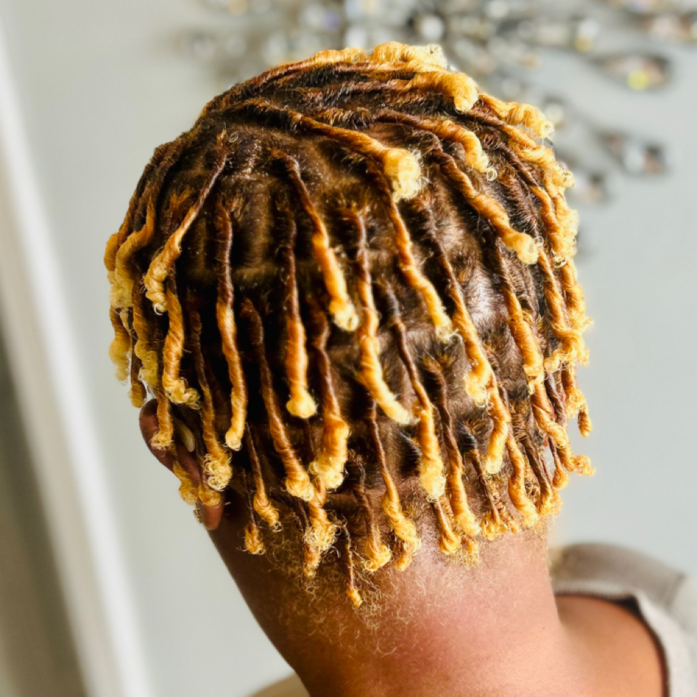 Starter Locs