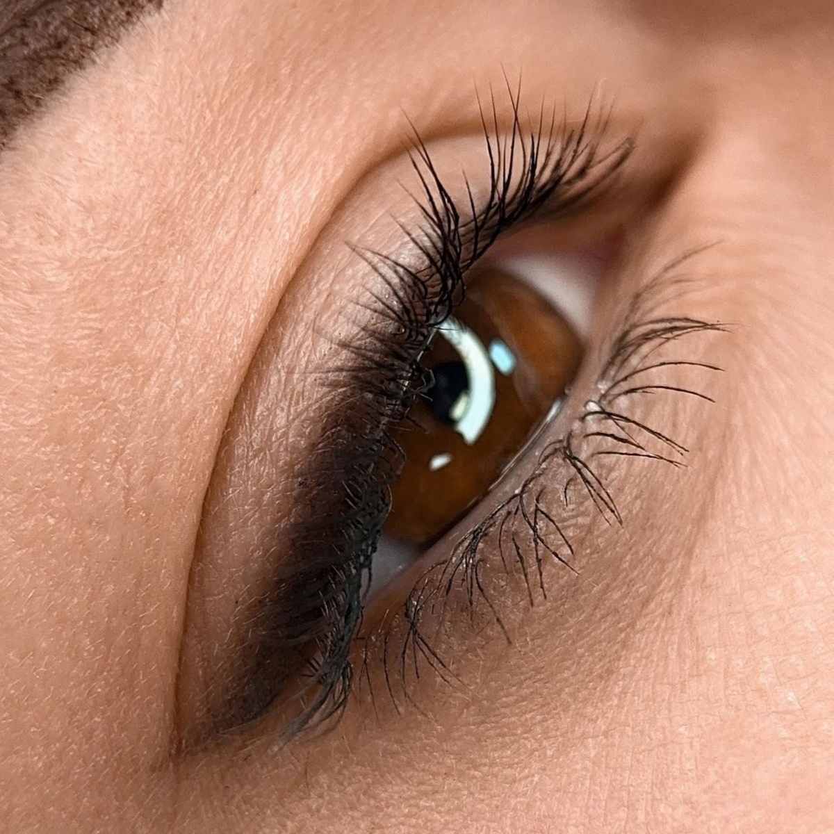 PMU EYES at Li BROW in Newton, MA