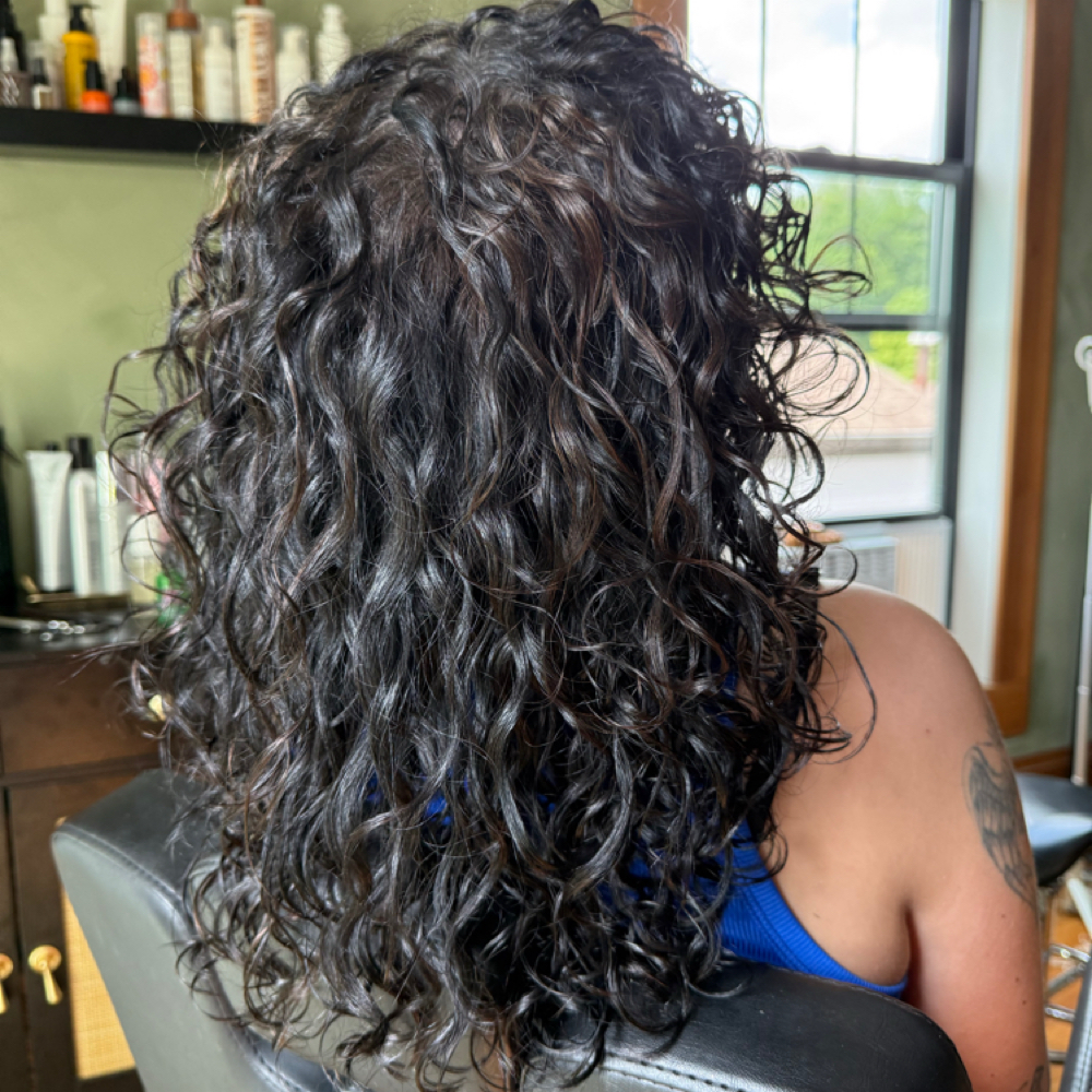 Express Curly Haircut at The Curly Girl in Greenwood, IN