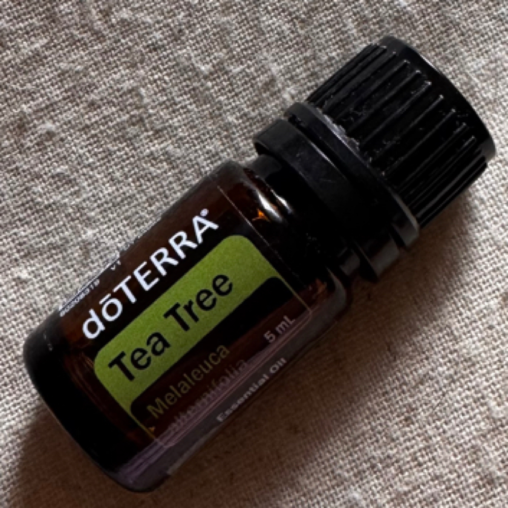 Tea Tree at Angelica Barrios, LMT in Nacogdoches, TX
