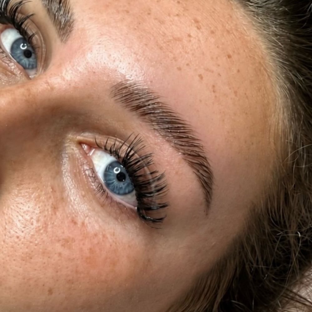 Brow Lamination at Lavish Aesthetics by Liv in Waynesboro, MS
