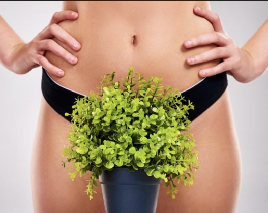 Brazilian Wax + Vajacial Combo