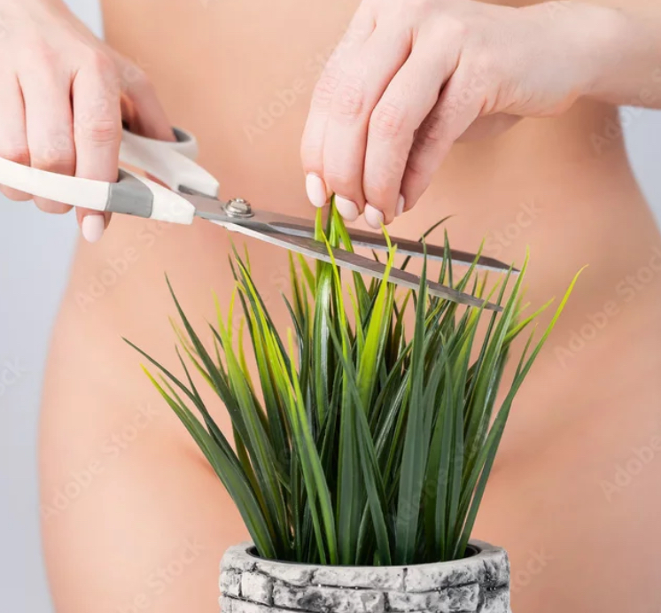 Brazilian Bikini Wax